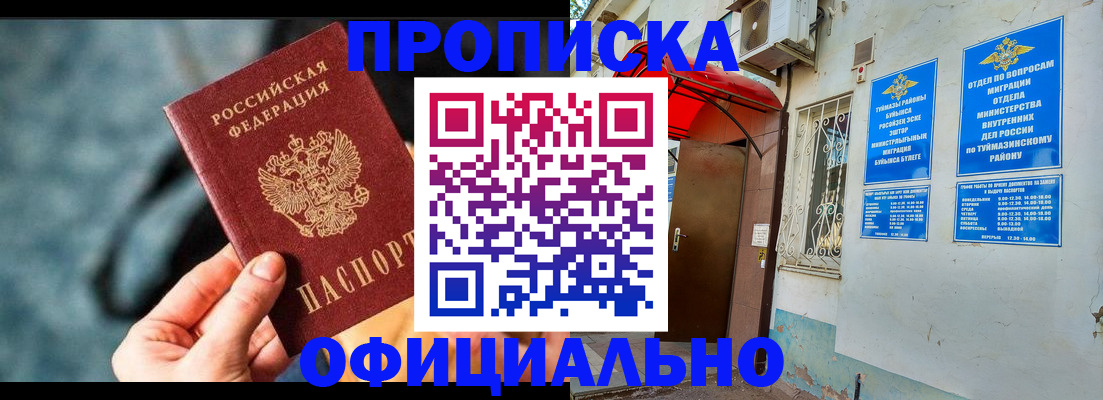 прописка 2025 в Димитровграде